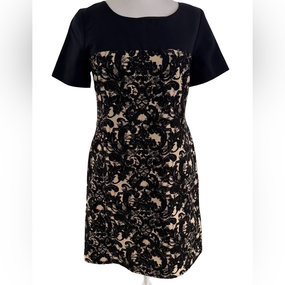 Miss Wu NWT Chic Black and Cream Lace Mini Dress size 8